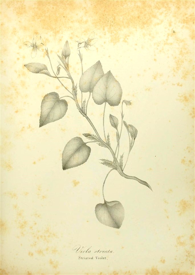 n522_w1150