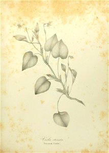n522_w1150