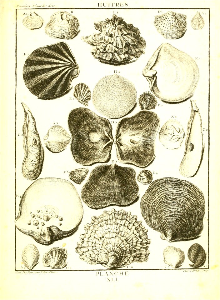 n178_w1150