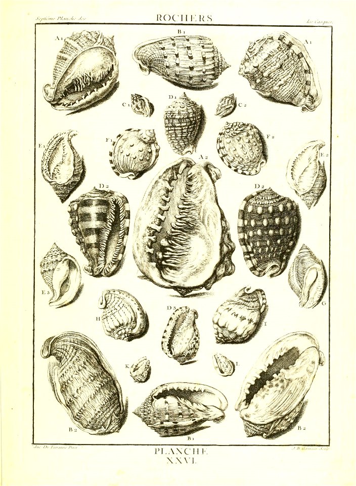 n116_w1150