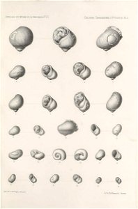 n194_w1150