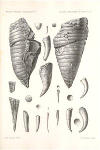 n464_w1150