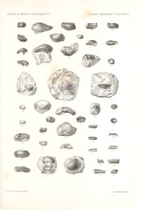 n192_w1150