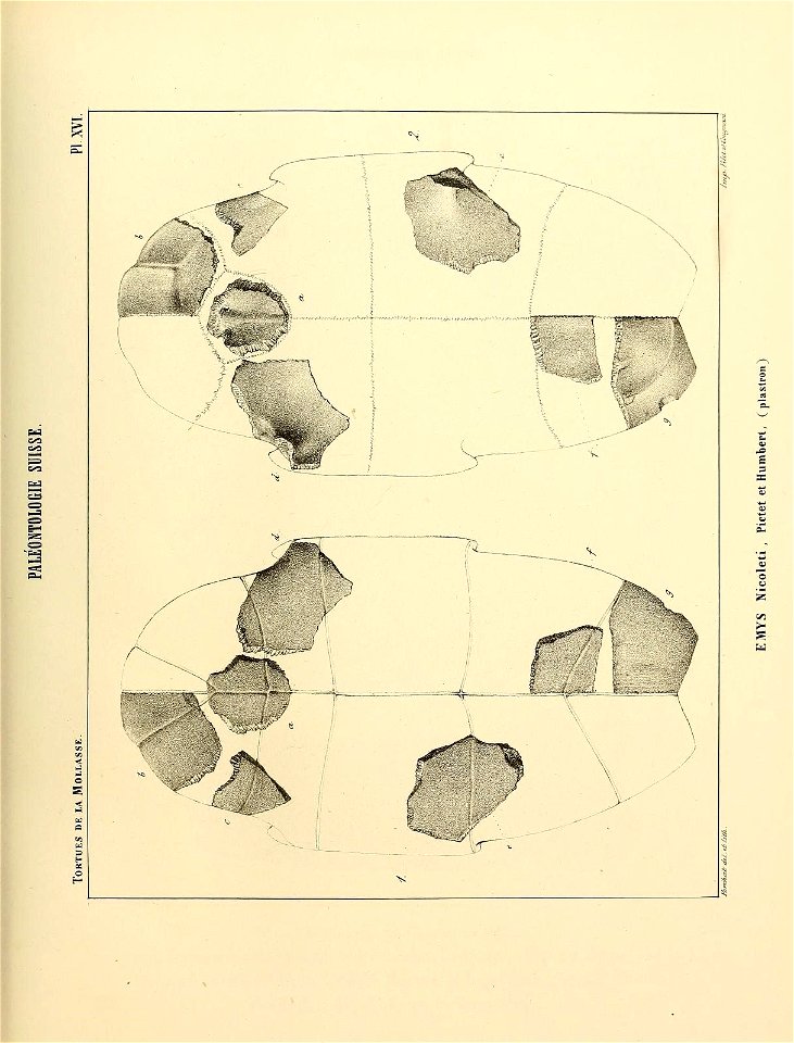 n112_w1150