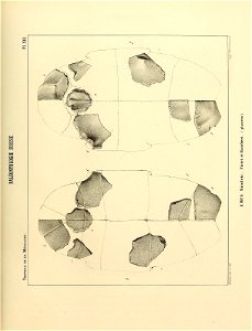 n112_w1150