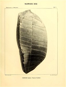 n82_w1150