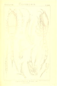 n276_w1150