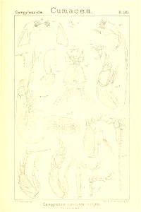 n246_w1150