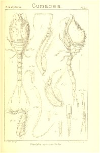 n216_w1150
