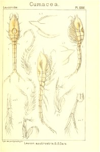 n184_w1150