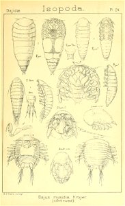 n472_w1150