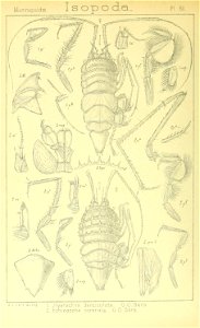 n407_w1150