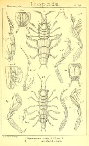 n392_w1150