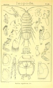 n363_w1150