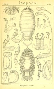 n332_w1150