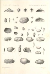n388_w1150