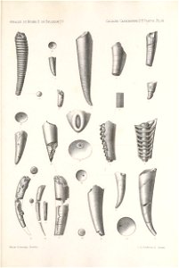 n456_w1150