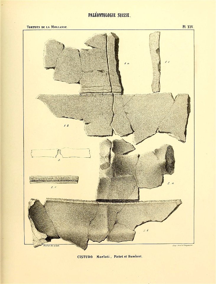 n108_w1150