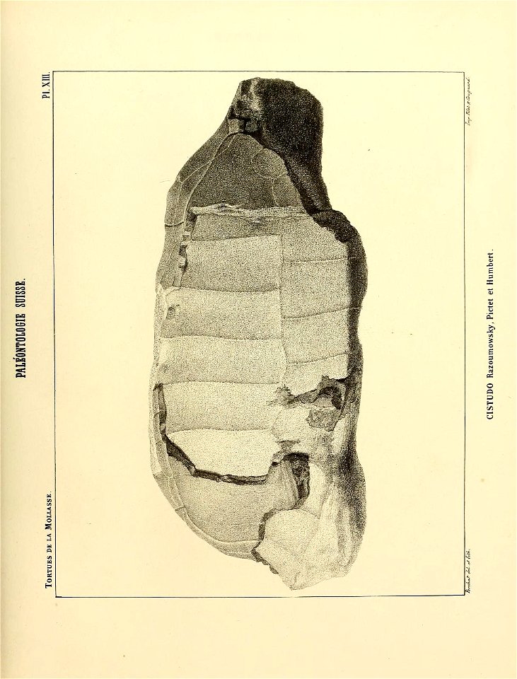 n106_w1150