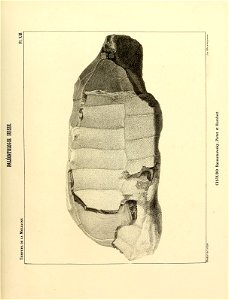 n106_w1150