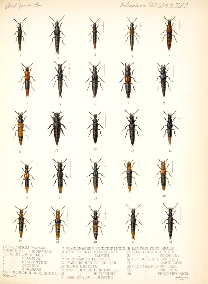 n853_w1150