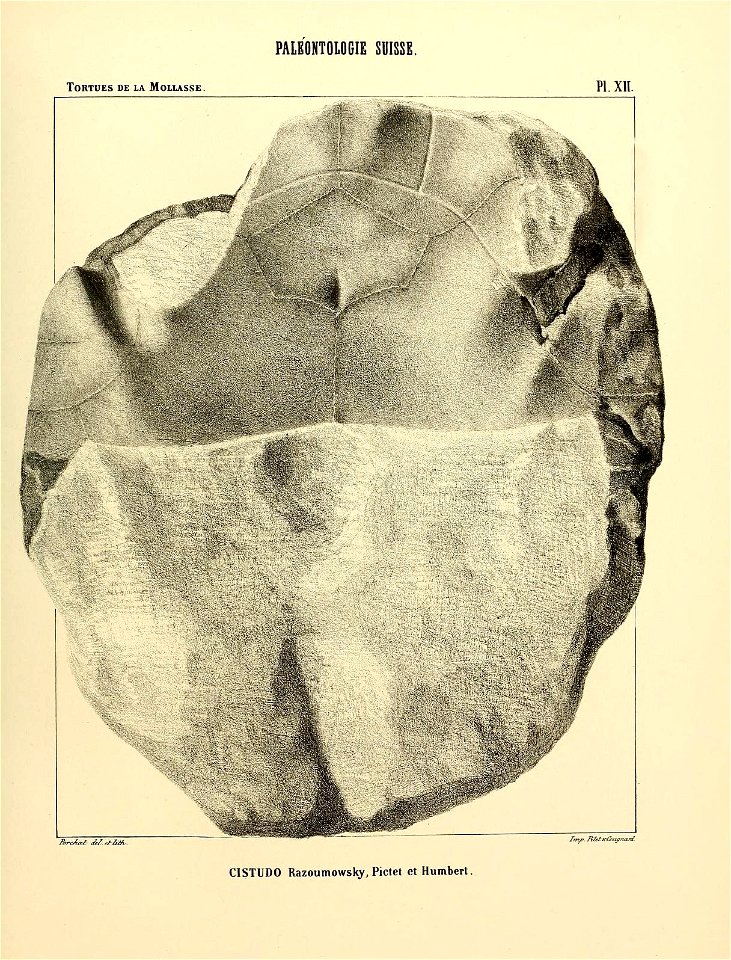 n104_w1150