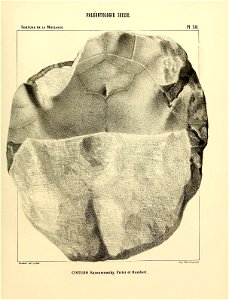 n104_w1150