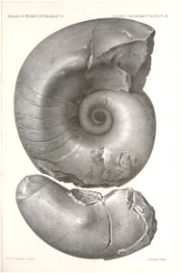 n242_w1150