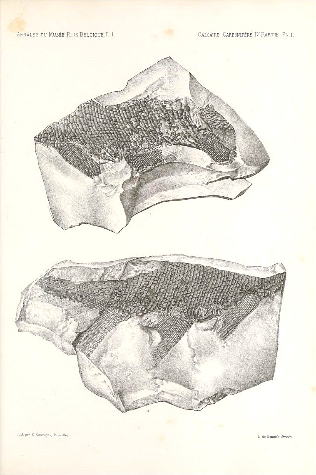 n172_w1150