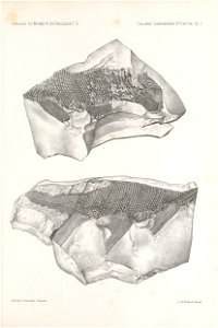 n172_w1150