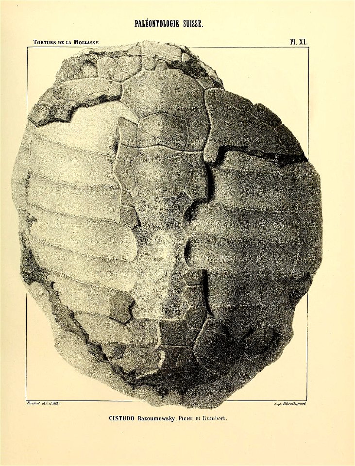 n102_w1150