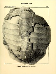 n102_w1150
