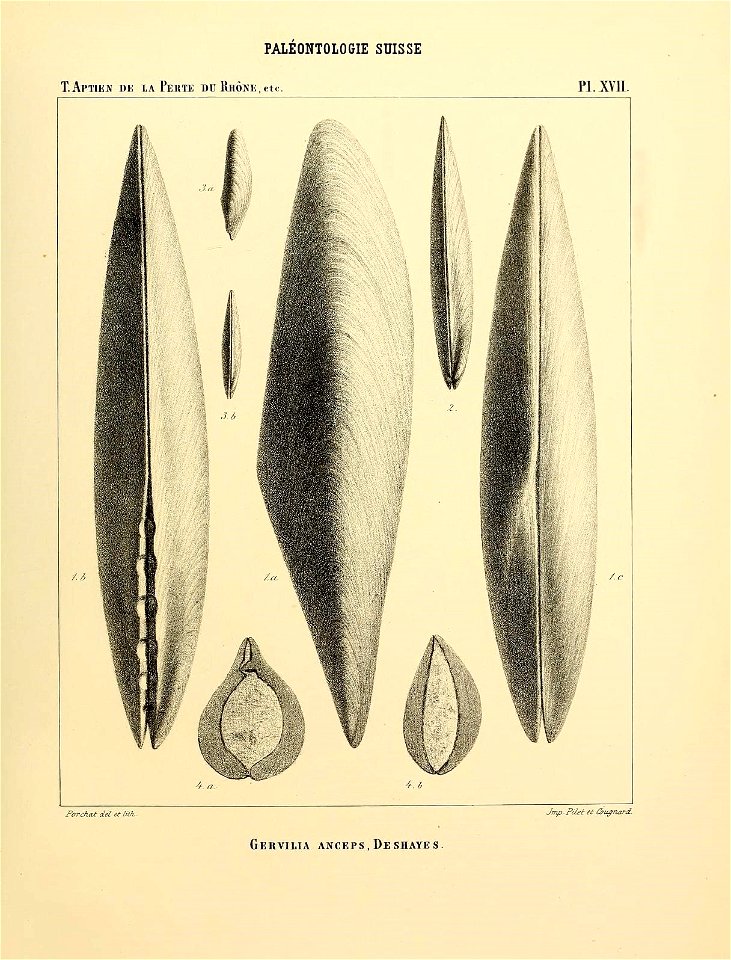 n38_w1150