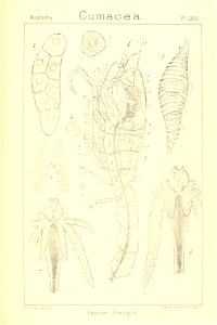 n266_w1150