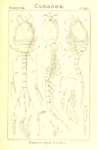 n206_w1150