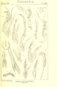 n176_w1150