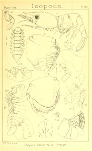 n464_w1150