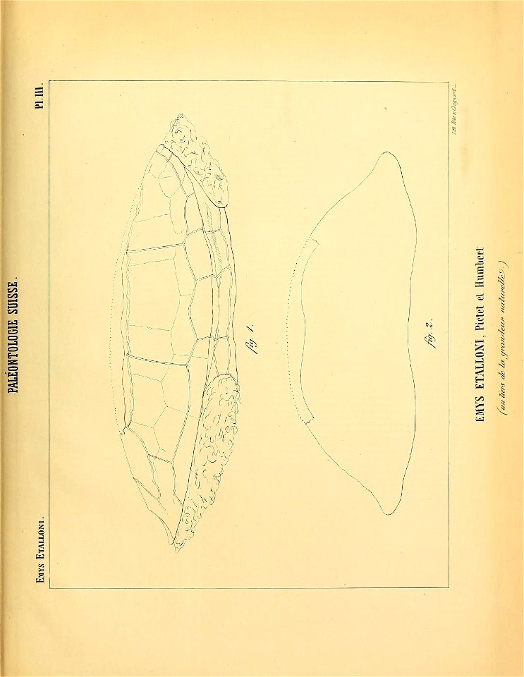 n132_w1150