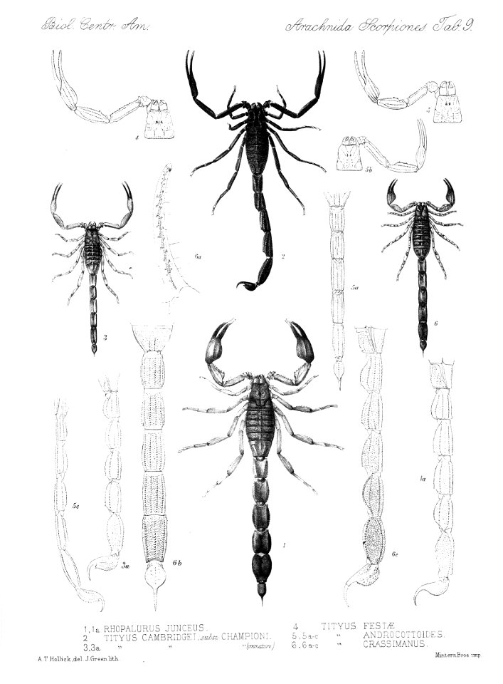 n112_w1150