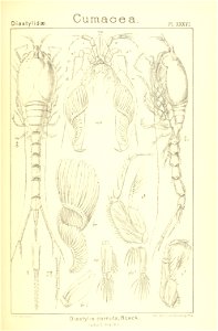 n204_w1150