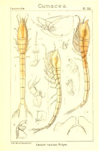 n174_w1150