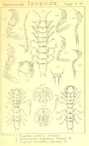 n492_w1150