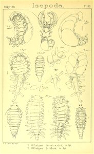n463_w1150
