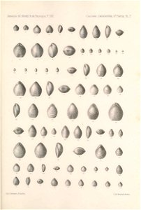 n206_w1150