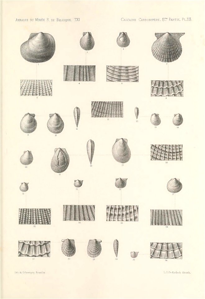 n428_w1150