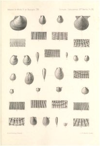 n428_w1150