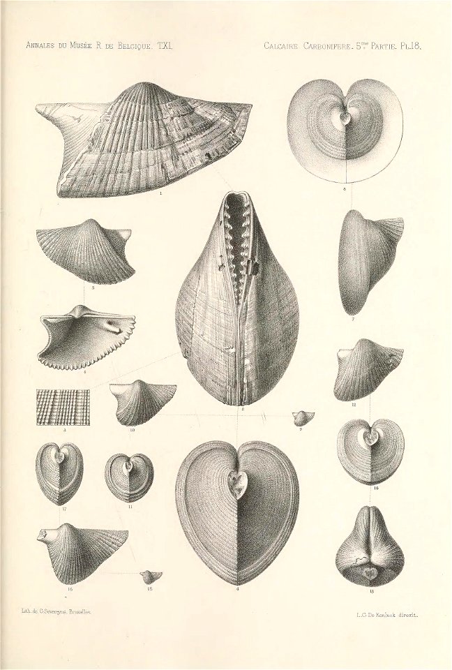 n368_w1150