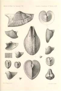 n368_w1150