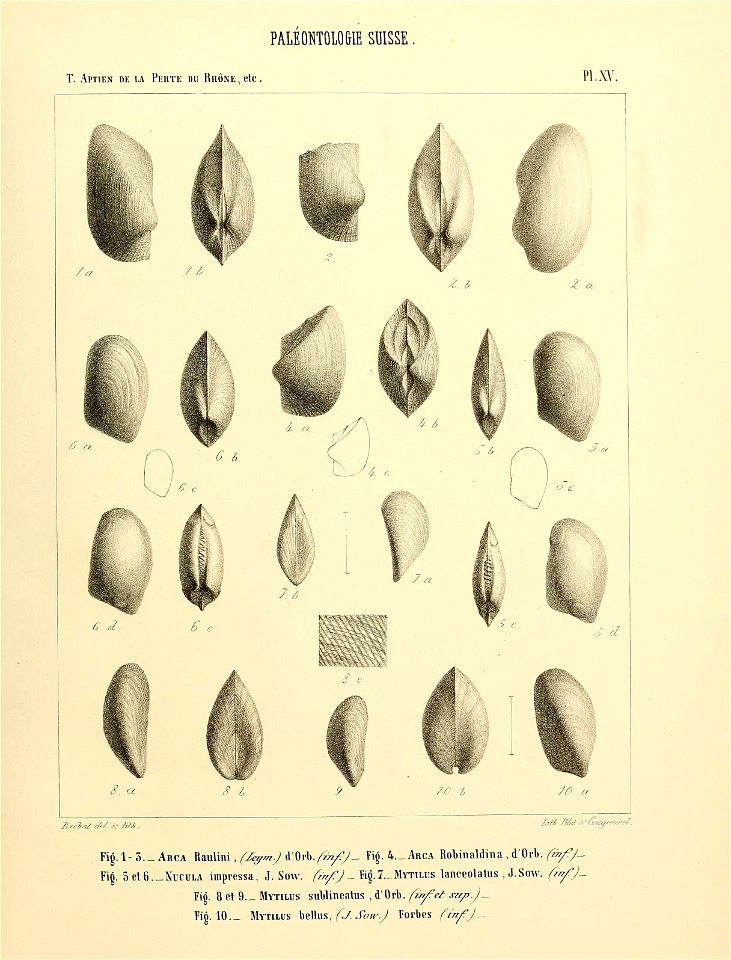 n34_w1150