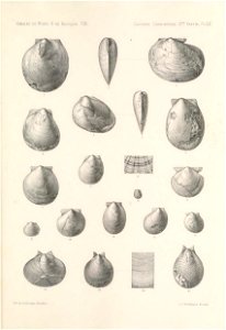 n424_w1150